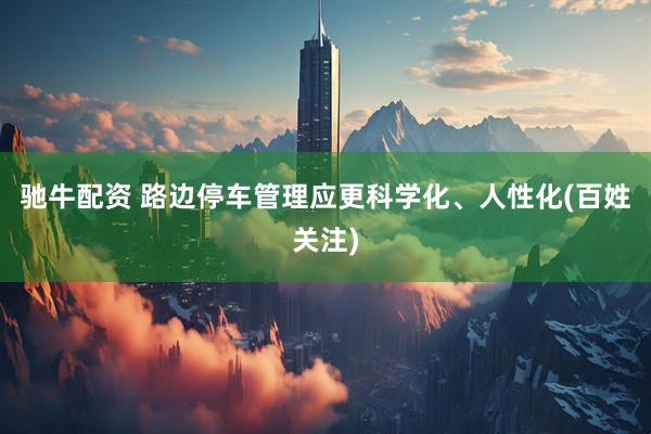 驰牛配资 路边停车管理应更科学化、人性化(百姓关注)