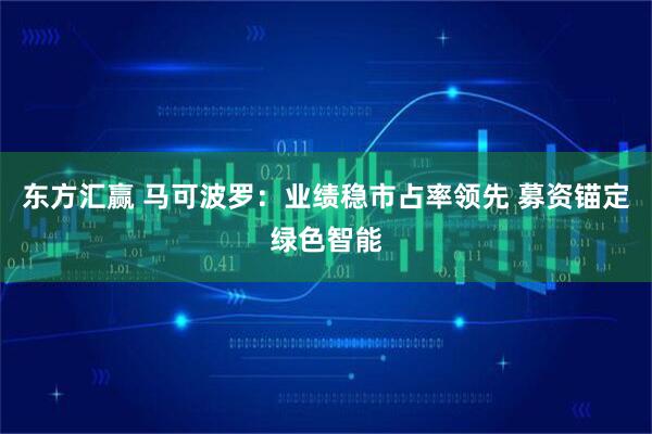 东方汇赢 马可波罗：业绩稳市占率领先 募资锚定绿色智能