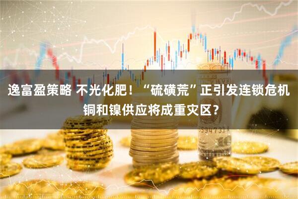 逸富盈策略 不光化肥！“硫磺荒”正引发连锁危机 铜和镍供应将成重灾区？