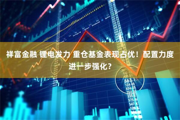 祥富金融 锂电发力 重仓基金表现占优！配置力度进一步强化？